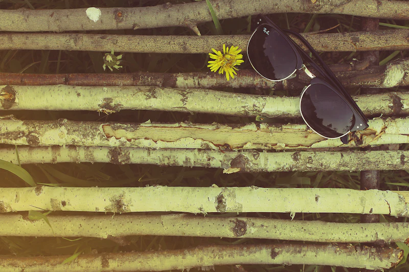 Classic Sunglasses